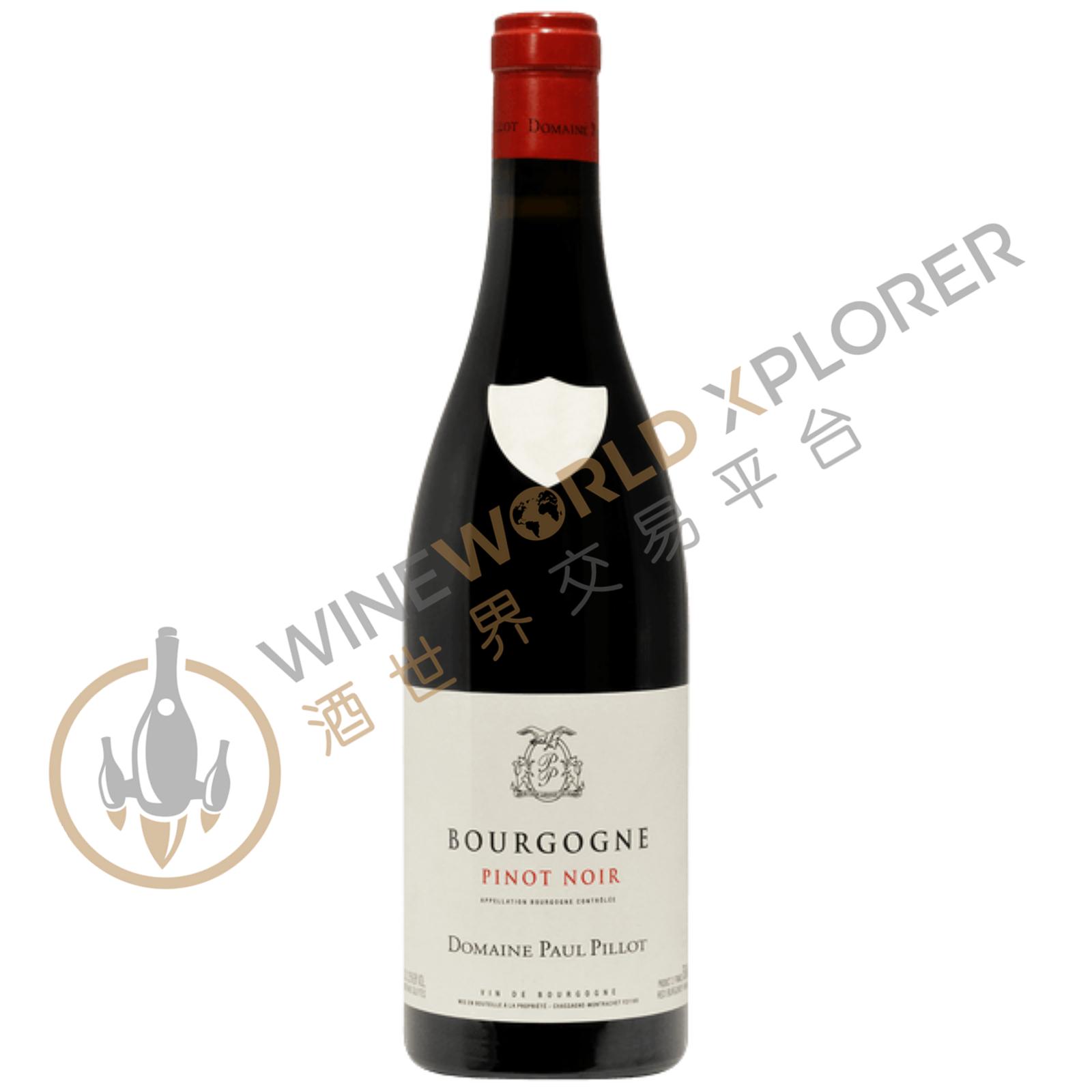 Paul Pillot, Bourgogne Pinot Noir 2024 - WineWorld Xplorer